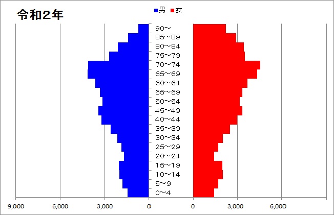 人口ピラミッド（令和２年）のグラフ