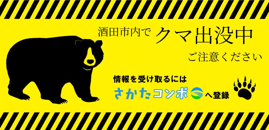 酒田市内でクマ出没中