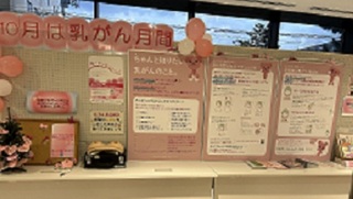 フリースペース展示の様子