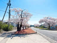 株式会社渡部砂利工業所