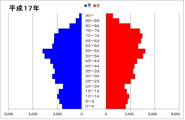 人口ピラミッド(平成17年)のグラフ