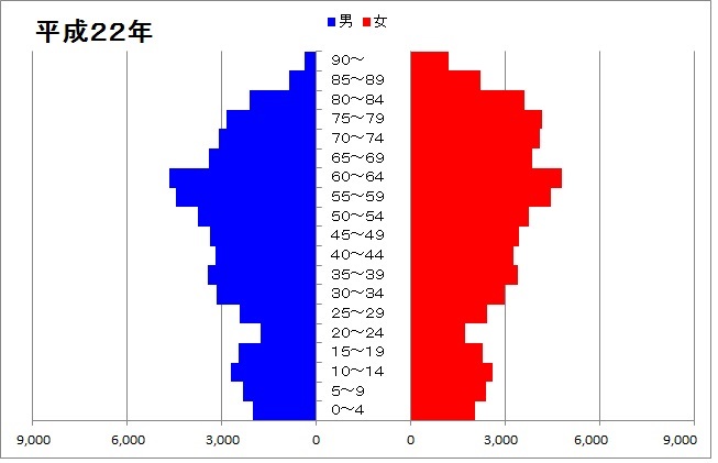 人口ピラミッド（平成22年）のグラフ