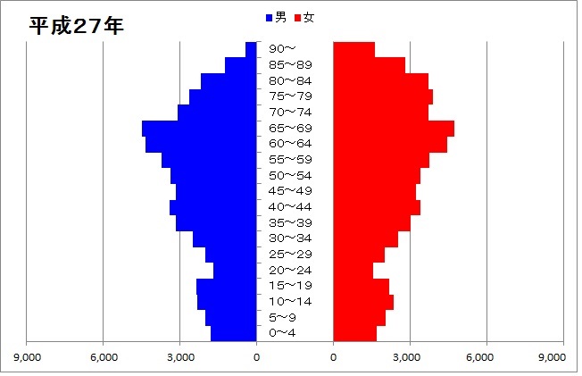 人口ピラミッド（平成27年）のグラフ