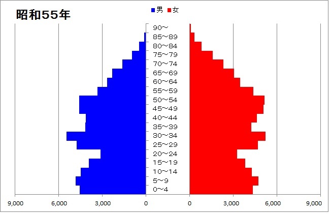 人口ピラミッド（昭和55年）のグラフ