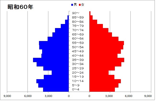 人口ピラミッド（昭和60年）のグラフ