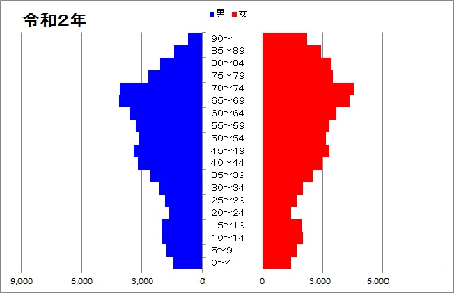 人口ピラミッド(令和2年)のグラフ